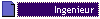 Ingenieur