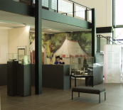 Ausstellung